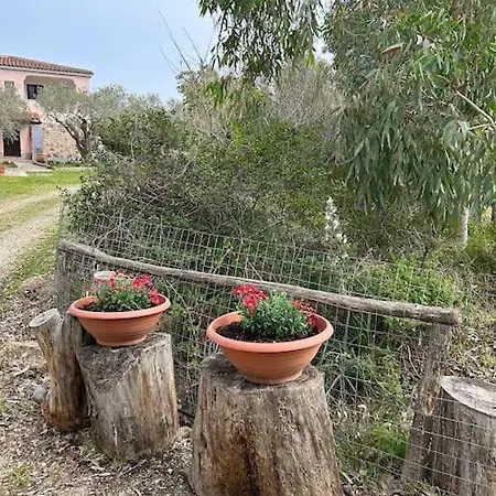 Domo Su Neulache App Verde- Sos Alinos Orosei