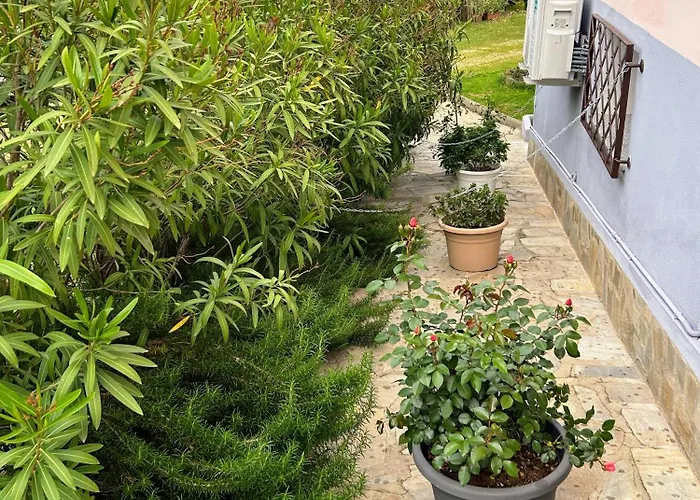 Domo Su Neulache App Verde- Sos Alinos Apartament Orosei